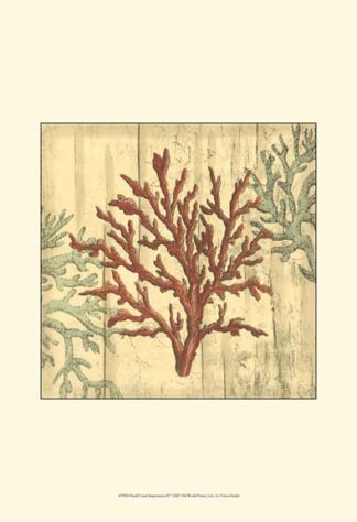 Small Coral Impressions IV