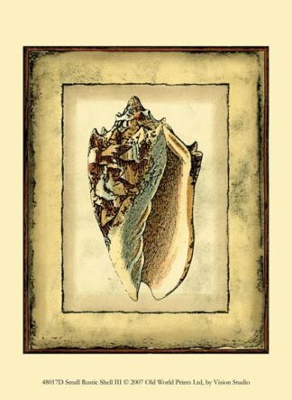 Small Rustic Shell III
