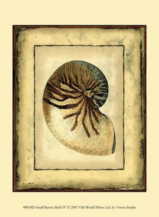 Small Rustic Shell IV