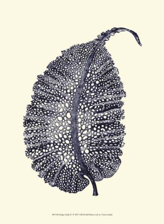 Indigo Kelp IV