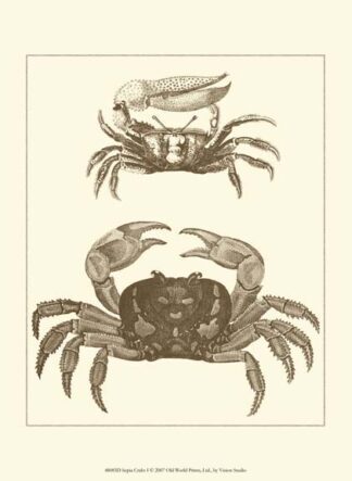 Sepia Crabs I
