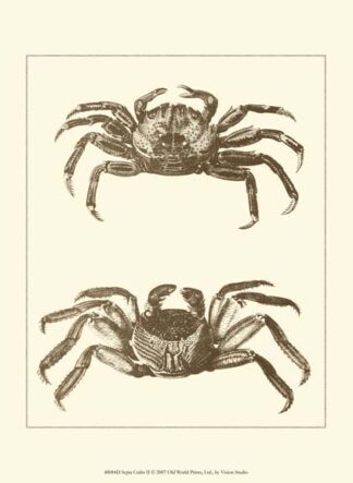 Sepia Crabs II