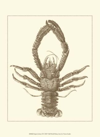 Sepia Lobster II