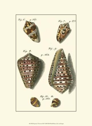 Neptune's Treasure III