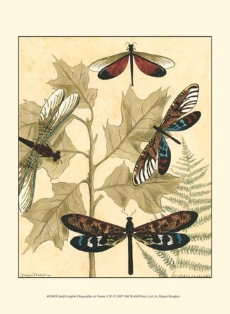 Sm. Graphic Dragonflies I (P)