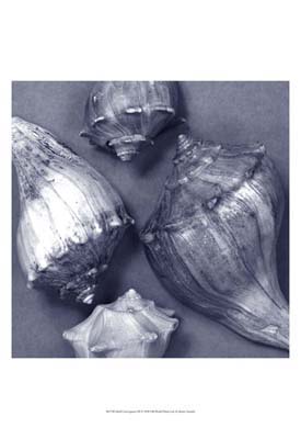 Shell Convergence III