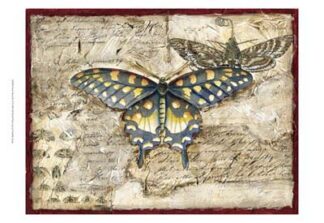Poetic Butterfly II