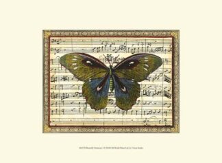 Butterfly Harmony I