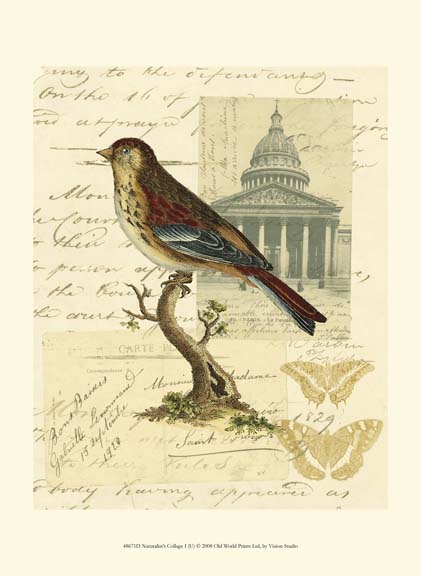 Naturalist's Collage I