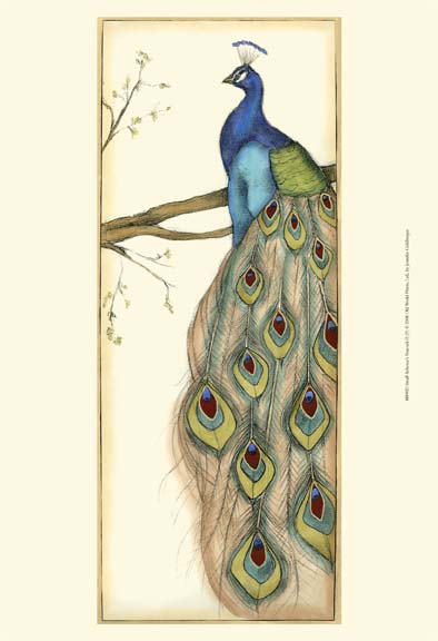 Small Rebecca's Peacock II (P)