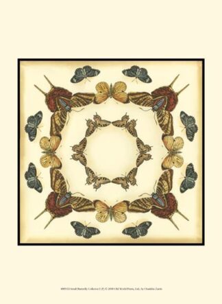 Small Butterfly Collector I (P)