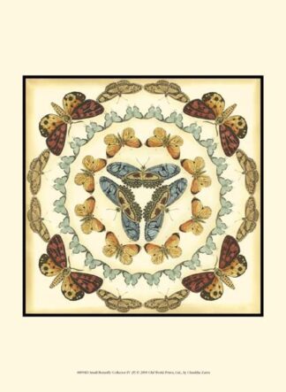 Small Butterfly Collector IV (P)