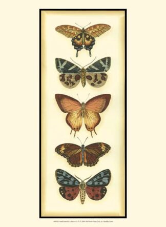 Small Butterfly Collector V (P)