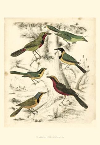 Small Avian Habitat III (P)