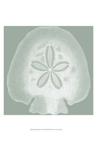 Seabreeze Shells I (P)