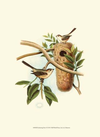 Feathering Nest I