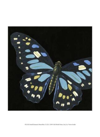 Small Dramatic Butterflies II