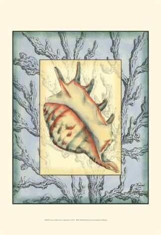 Custom Shell Inset Composit. II