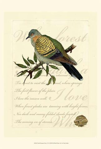 Small Romantic Dove I