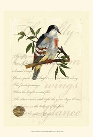 Small Romantic Dove II