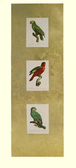 Barraband Parrot Panel I