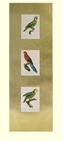 Barraband Parrot Panel II
