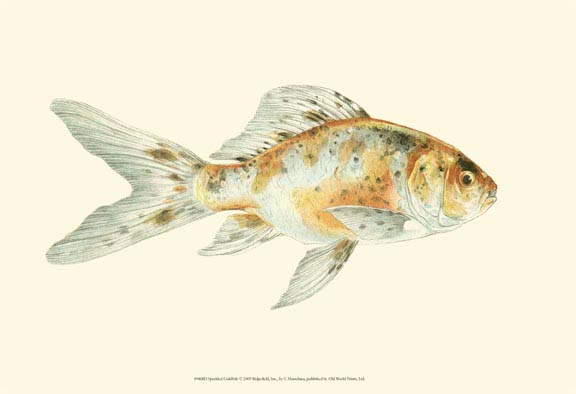Speckled Goldfish
