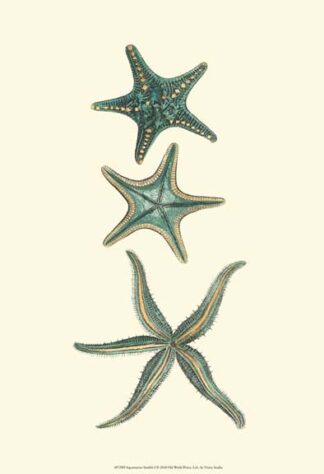 Aquamarine Starfish I