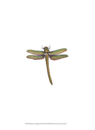 Miniature Dragonfly I