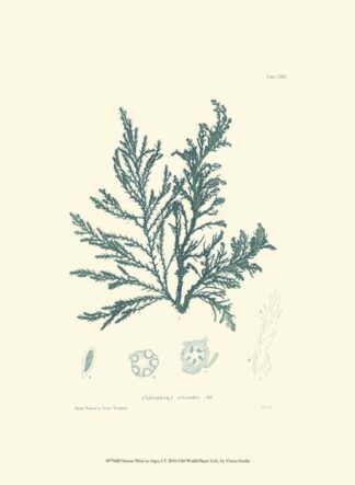 Nature Print in Aqua I