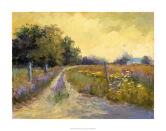 Fall's Golden Fields