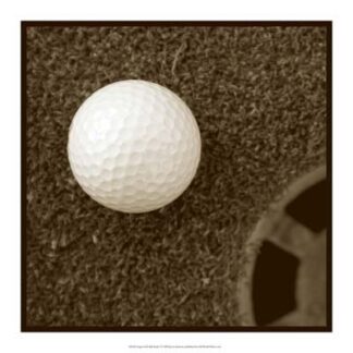 Sepia Golf Ball Study I