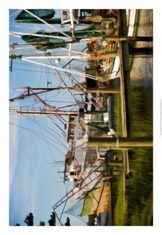 Safe Harbor III  ***