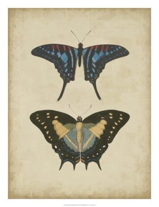 Antique Butterfly Pair III