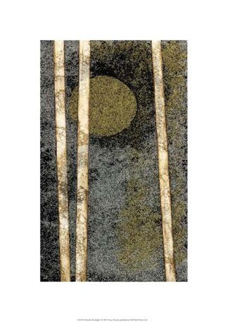 Metallic Moonlight I