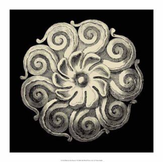 Black and Tan Rosette I
