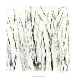 Birches I