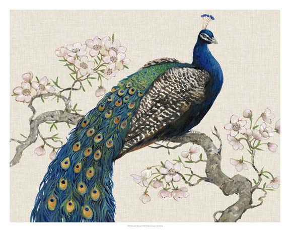 Peacock & Blossoms I
