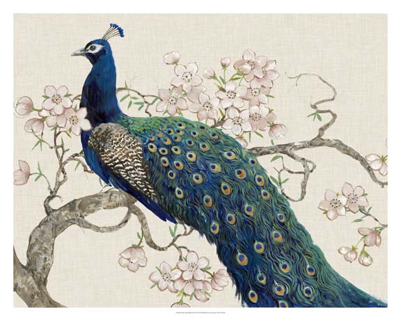 Peacock & Blossoms II