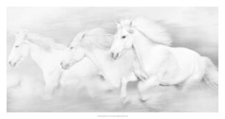 All the White Horses