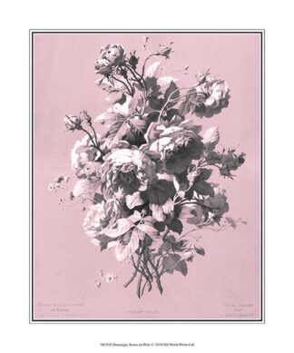 Dussurgey Roses on Pink