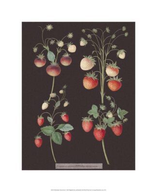 Brookshaw Strawberries