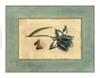 Crackled Spa Blue Tulip I