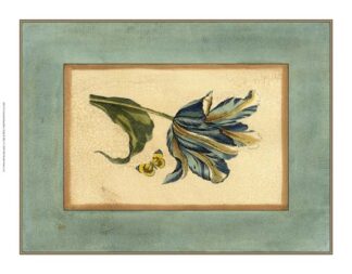 Crackled Spa Blue Tulip II