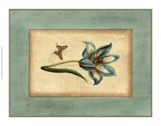 Crackled Spa Blue Tulip III