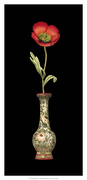 Poppy Magic I