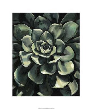 Lunar Succulent I