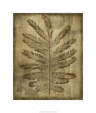 Sepia Drenched Fern I