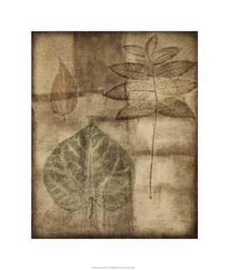 Impressed on Patina I