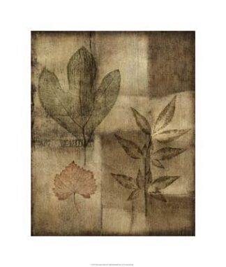 Impressed on Patina II